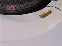 نيسان باثفايندر